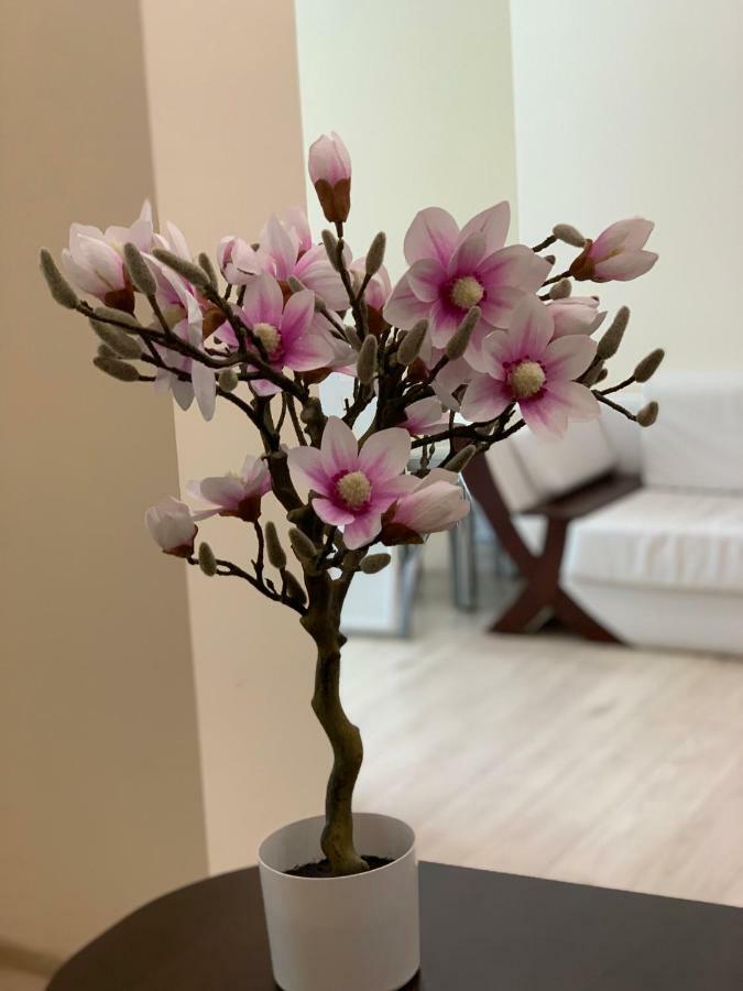 Apartament "Marka" Пила Екстериор снимка